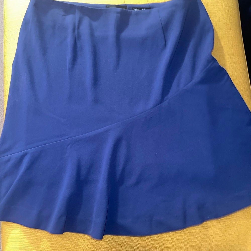 Blue  Flare Dress Skirt
